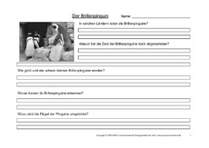 Brillenpinguin-Fragen-1.pdf